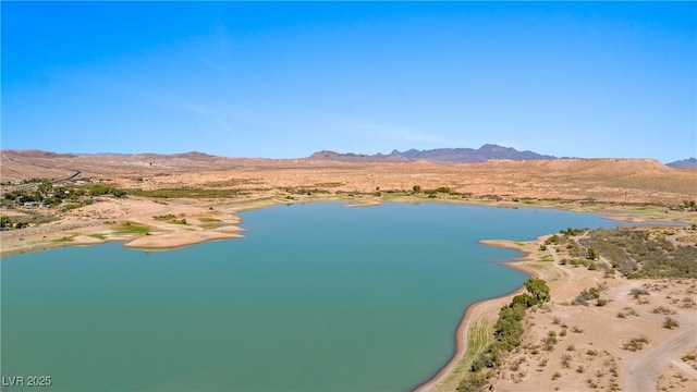 Paiute St, Logandale, NV 89021 - photo 23