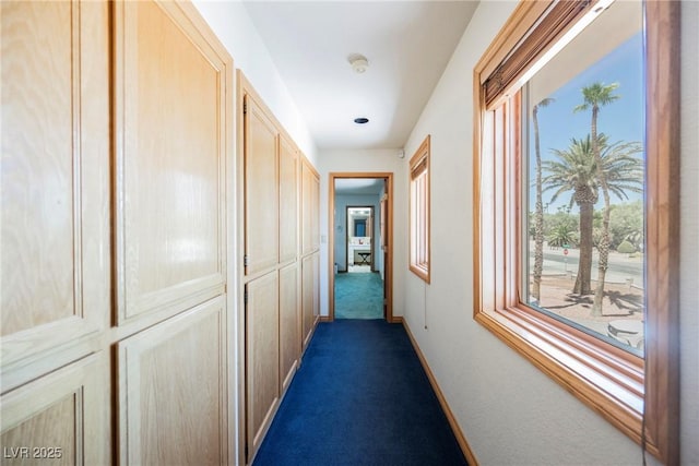 2920 El Camino Rd, Las Vegas, NV 89146 - photo 26