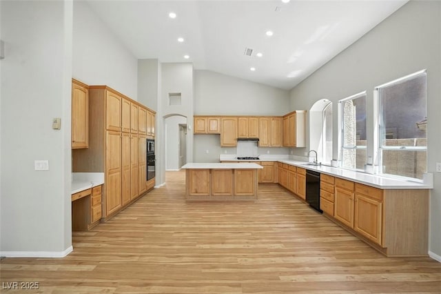 2079 Hidden Hollow Ln, Henderson, NV 89012 - photo 19