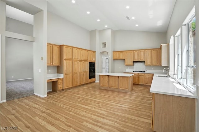 2079 Hidden Hollow Ln, Henderson, NV 89012 - photo 20