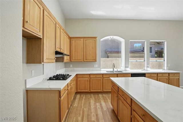 2079 Hidden Hollow Ln, Henderson, NV 89012 - photo 24
