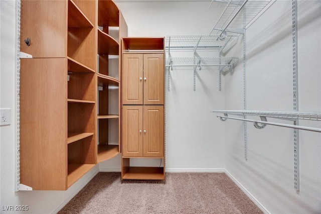 7908 Morning Gallop Ct, Las Vegas, NV 89131 - photo 42