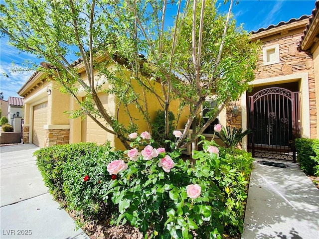 2357 Wisconsin Dells Dr, Henderson, NV 89044 - photo 8