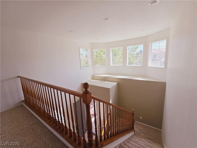 9862 Shadow Grove Ave, Las Vegas, NV 89148 - photo 7
