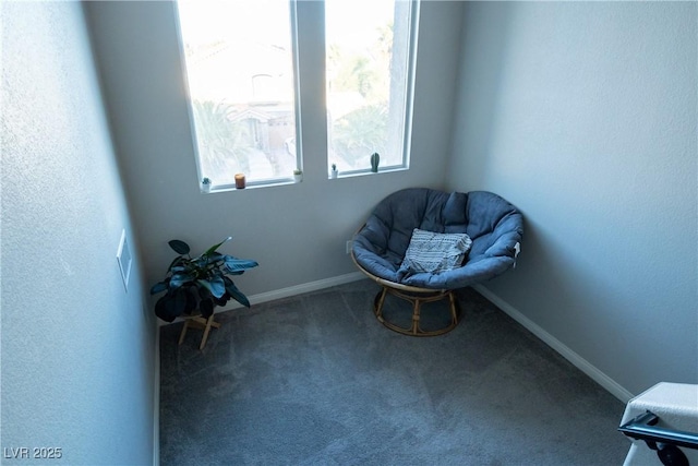 8525 Silver Coast St, Las Vegas, NV 89139 - photo 20