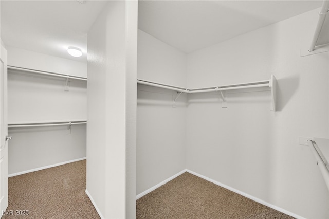 8017 Pink Desert St, North Las Vegas, NV 89085 - photo 21