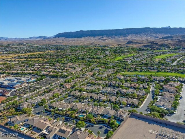 3302 Saddle Soap Ct, Las Vegas, NV 89135 - photo 54