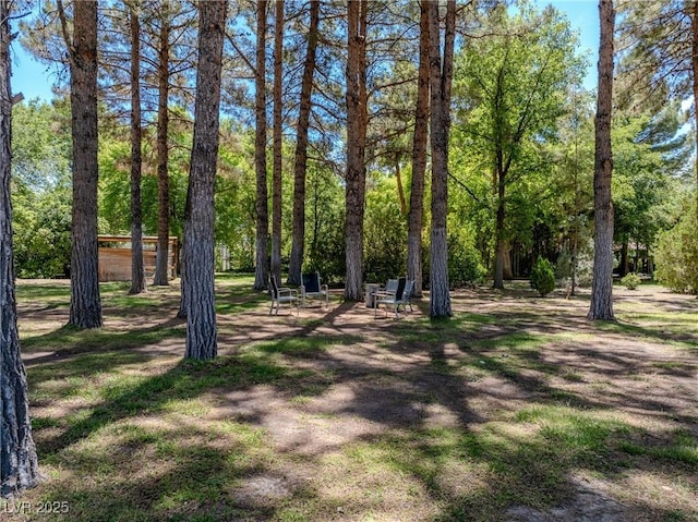 2221 W Windsong Ln, Pahrump, NV 89048 - photo 5