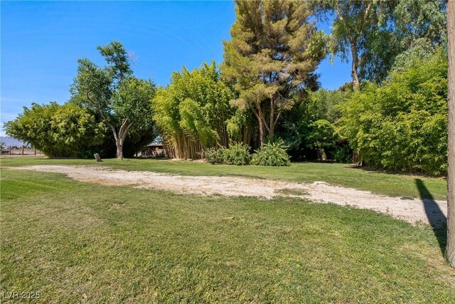 2221 W Windsong Ln, Pahrump, NV 89048 - photo 41