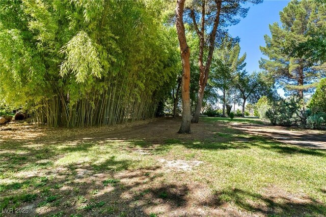 2221 W Windsong Ln, Pahrump, NV 89048 - photo 45
