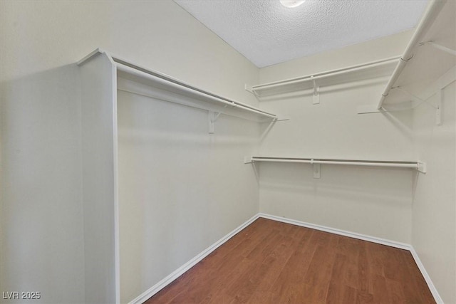 1517 Kirby Dr, Las Vegas, NV 89117 - photo 25