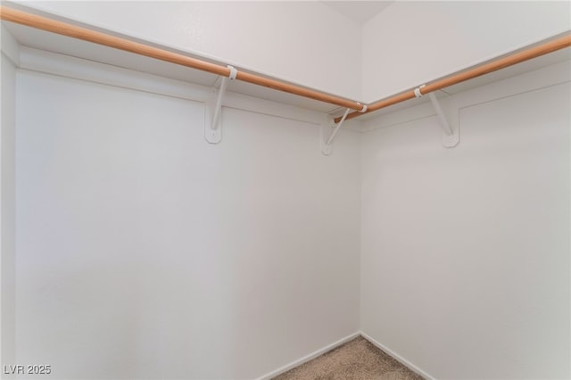 2825 Shayla Bay Ave, North Las Vegas, NV 89086 - photo 22