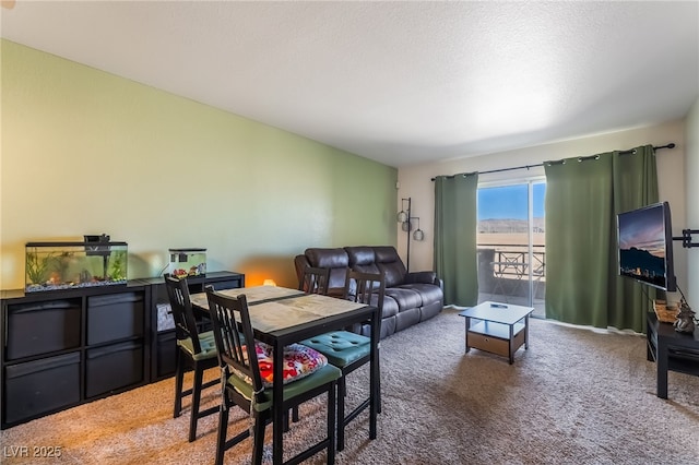 8070 W Russell Rd Unit 2090, Las Vegas, NV 89113 - photo 10