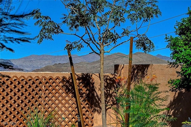 663 Florence Dr, Boulder City, NV 89005 - photo 58
