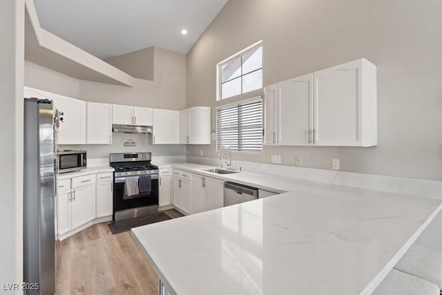 7412 Forest Ivy St, Las Vegas, NV 89131 - photo 13