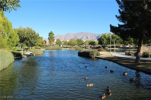 3504 Glorious Iris Pl Unit 2, North Las Vegas, NV 89084 - photo 48
