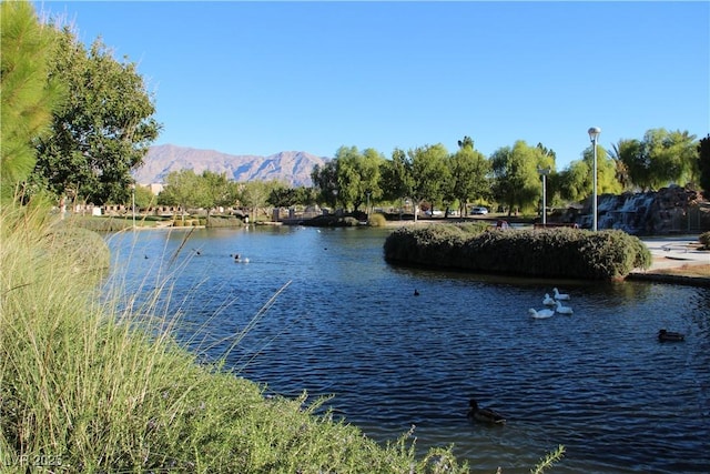 3504 Glorious Iris Pl Unit 2, North Las Vegas, NV 89084 - photo 49