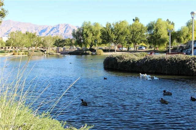 3504 Glorious Iris Pl Unit 2, North Las Vegas, NV 89084 - photo 50