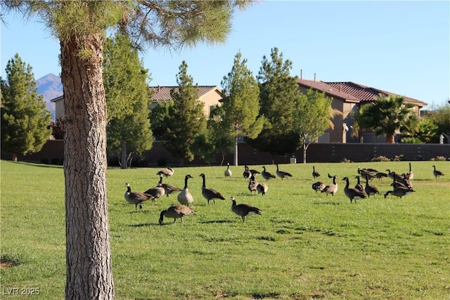 3504 Glorious Iris Pl Unit 2, North Las Vegas, NV 89084 - photo 41