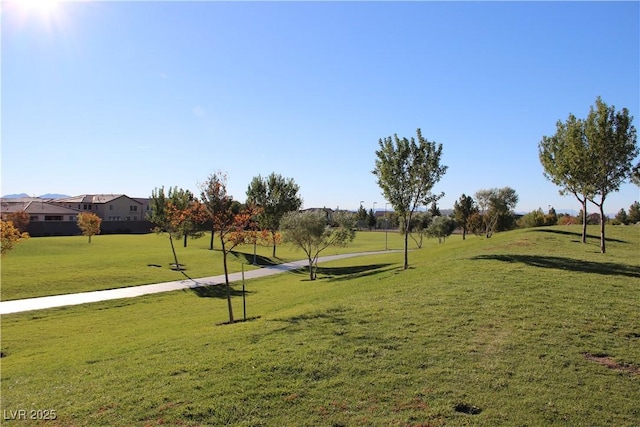3504 Glorious Iris Pl Unit 2, North Las Vegas, NV 89084 - photo 42