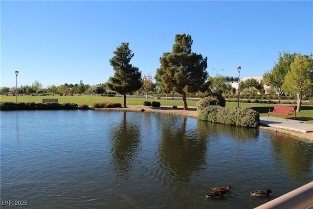 3504 Glorious Iris Pl Unit 2, North Las Vegas, NV 89084 - photo 47