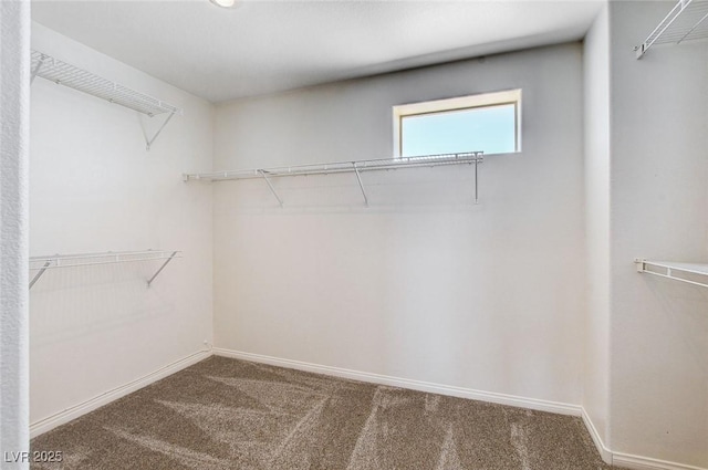 5704 Burdel St, Las Vegas, NV 89149 - photo 46