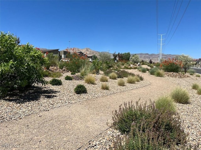 10269 Sequoia Falls Pl, Las Vegas, NV 89149 - photo 34