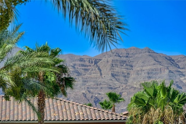 2208 Saddlebill Ct, North Las Vegas, NV 89084 - photo 63