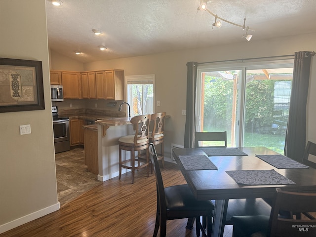 11349 W Marlinwood St, Boise, ID 83713 - dining room with a textured ceiling, dark wood-style floors, and vaulted ceiling