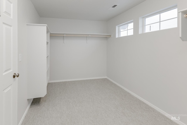 walk in closet with light carpet