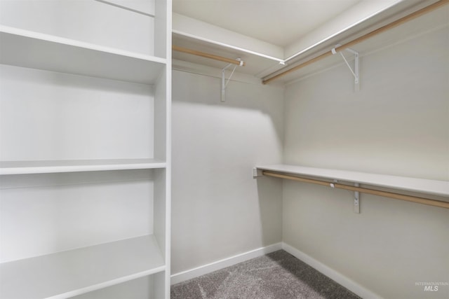 spacious closet with carpet floors