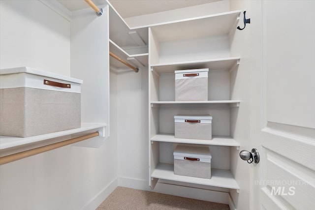 spacious closet with carpet flooring