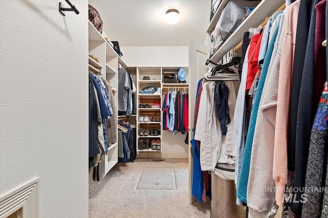 spacious closet with light colored carpet