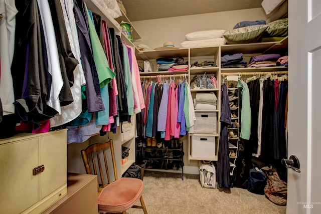 spacious closet with light carpet