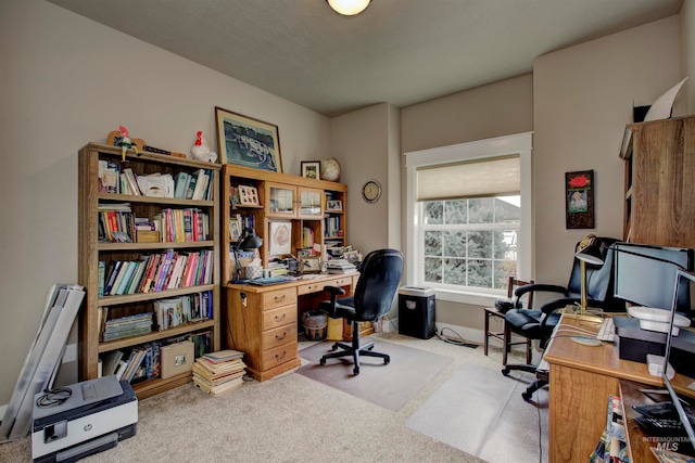 home office with light colored carpet