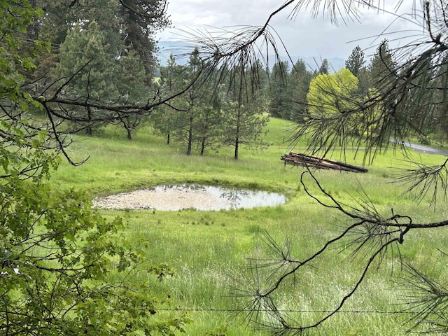 170 Red Fir Rd, Kooskia, ID 83539 - view of yard featuring a water view