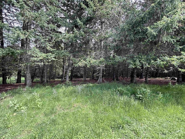 170 Red Fir Rd, Kooskia, ID 83539 - view of yard with a wooded view