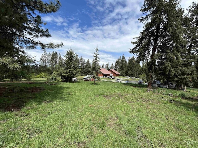 170 Red Fir Rd, Kooskia, ID 83539 - view of yard
