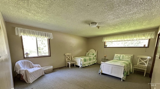 170 Red Fir Rd, Kooskia, ID 83539 - carpeted bedroom featuring a textured ceiling