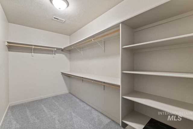 4249 W Farlam Dr, Meridian, ID 83642 - walk in closet with light carpet