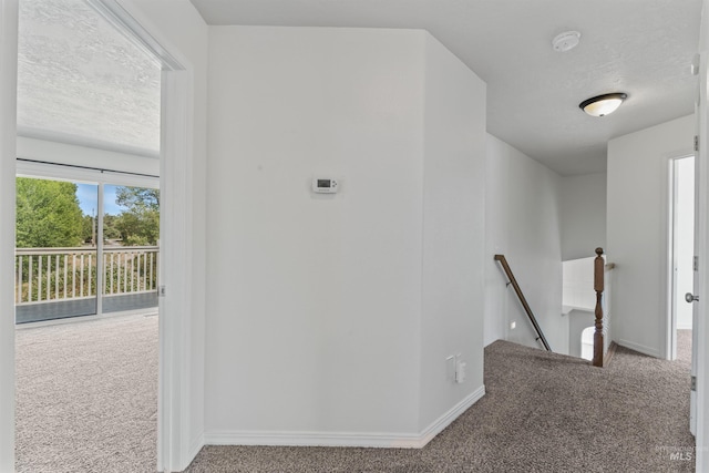 1992 S Elkhound Ave, Meridian, ID 83642 - corridor featuring an upstairs landing, carpet, and baseboards