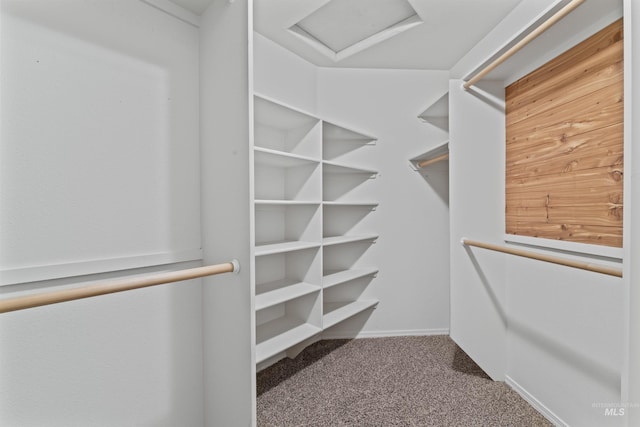 1992 S Elkhound Ave, Meridian, ID 83642 - spacious closet featuring carpet and attic access