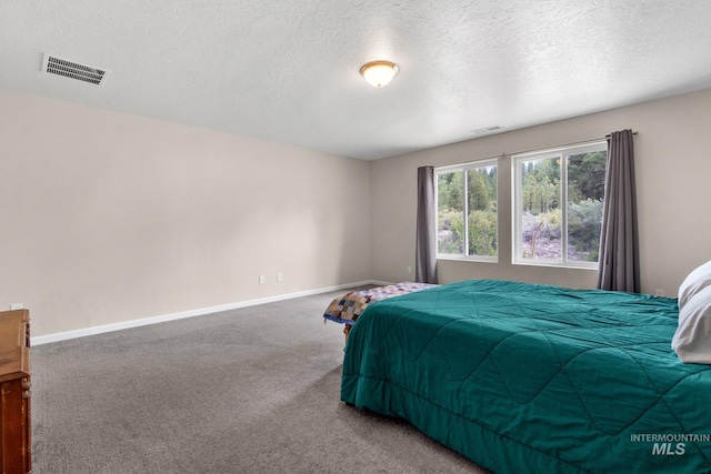 207 Lainey Ln, Idaho City, ID 83631 - carpeted bedroom featuring a textured ceiling and baseboards