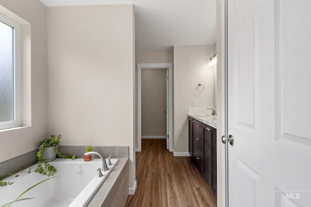 207 Lainey Ln, Idaho City, ID 83631 - full bathroom featuring vanity, a garden tub, and wood finished floors