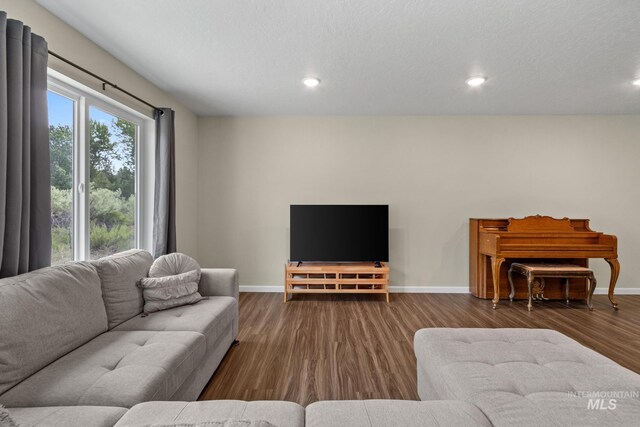 207 Lainey Ln, Idaho City, ID 83631 - living room featuring wood finished floors and recessed lighting