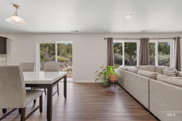 207 Lainey Ln, Idaho City, ID 83631 - dining room featuring healthy amount of natural light and dark wood-style flooring