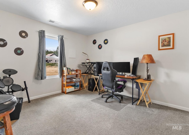207 Lainey Ln, Idaho City, ID 83631 - carpeted office featuring baseboards
