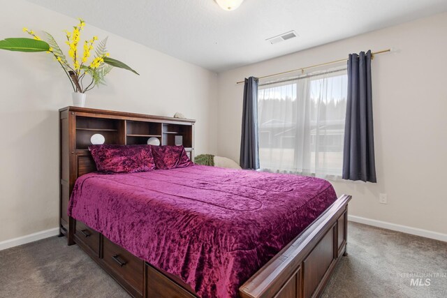 207 Lainey Ln, Idaho City, ID 83631 - bedroom featuring dark colored carpet
