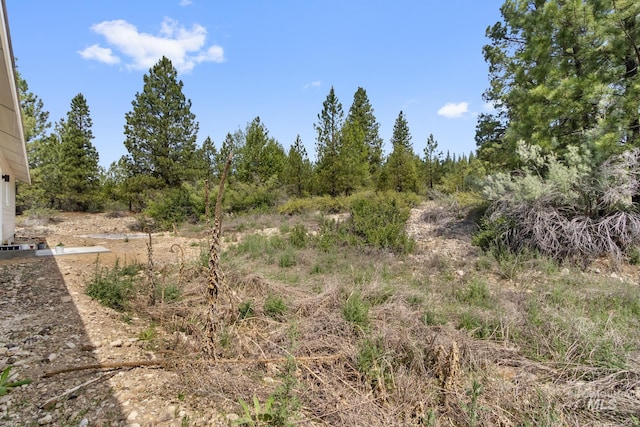 207 Lainey Ln, Idaho City, ID 83631 - view of undeveloped land