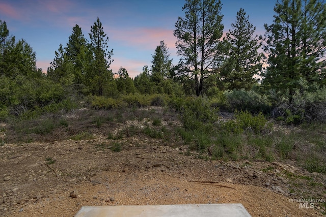 207 Lainey Ln, Idaho City, ID 83631 - view of nature